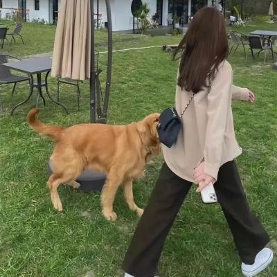 游园惊梦